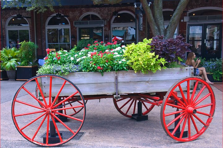 Savannah Scavenger Hunt Walking Tour and Game - Photo 1 of 16